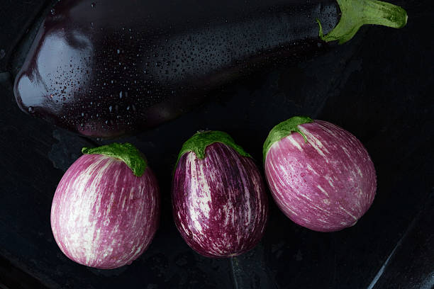 istock Wet black and purple striped eggplants closeup. 540844820