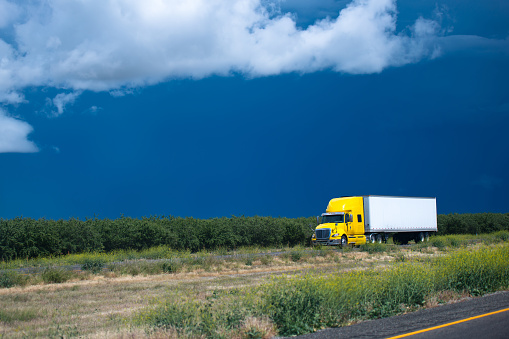 Modern popular comfortable yellow semi truck for long haul going with a cargo in dry van trailer carrying out flight on timely delivery to the customer by road passing in the middle of the California orchard plains against a dark cloudy stormy sky