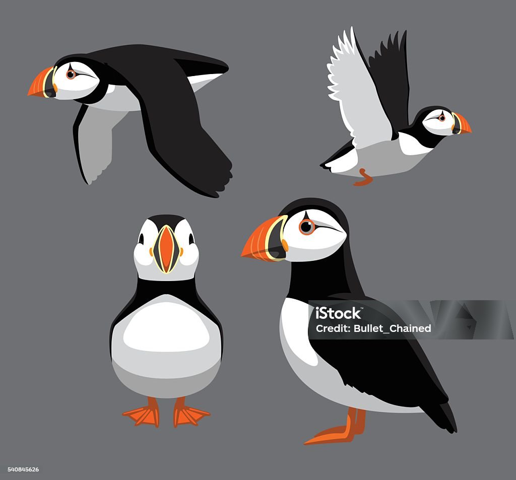 Illustration vectorielle du macareux moine pose d’oiseaux - clipart vectoriel de Macareux libre de droits