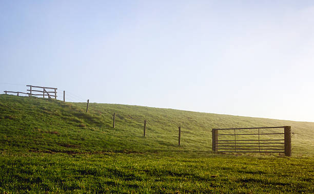 istock Backllit image of an embankment on an early morning 540846170