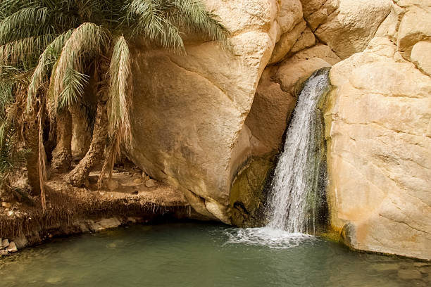 istock Waterfall in mountain oasis Chebika in Tunisia 540847464