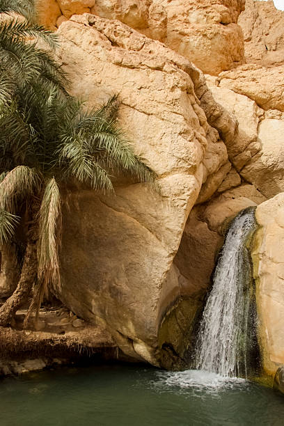 istock Waterfall in mountain oasis Chebika in Tunisia 540847486