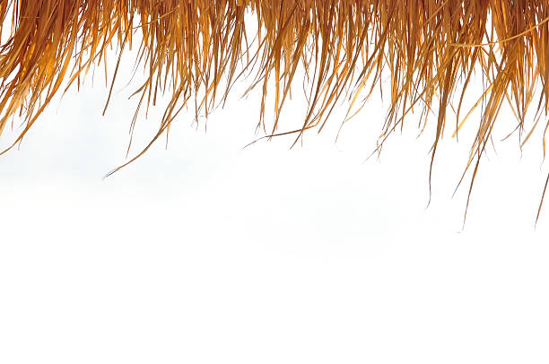 istock Top of yellow hut straw pattern on white background 540852622