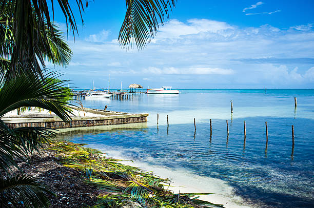 Blue water beach with palm trees in Caye Caulker, Belize Blue water beach with palm trees in Caye Caulker, Belize cay stock pictures, royalty-free photos & images