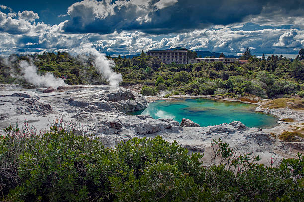 geyser di whakarewarewa a te puia parco termale, nuova zelanda - fumarole foto e immagini stock