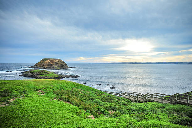 風景 フィリップ島 オーストラリア沿岸 - sea beach storm wave ストックフォトと画像