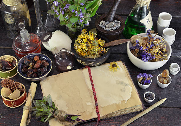 open book with herbs, berries and flowers on witch table - old laboratory alchemy alchemist imagens e fotografias de stock