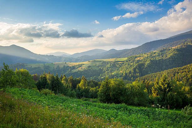 istock Beautiful  Mountain Valley in summer 540853834