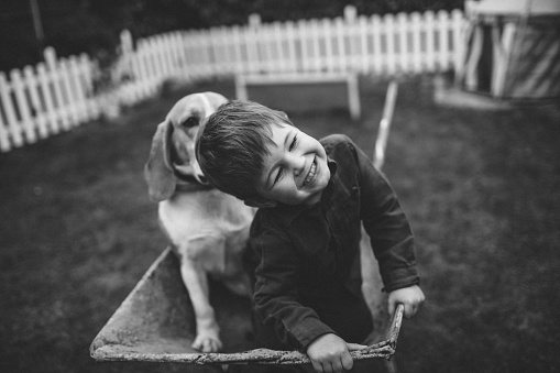 Photo of little smiling boy and his dog having fun outdoors, driving together in a wheelbarrow.