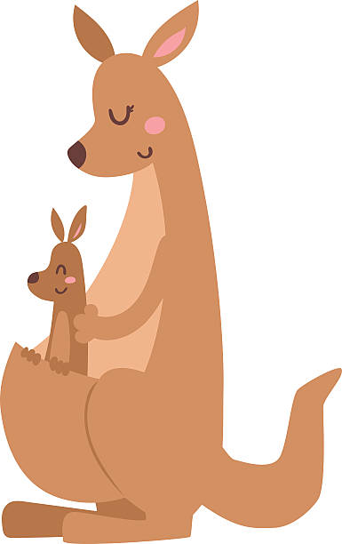 Kangaroo Cartoon Australia Animal With Baby Flat Vector Illustration Stock  Illustration - Download Image Now - iStock