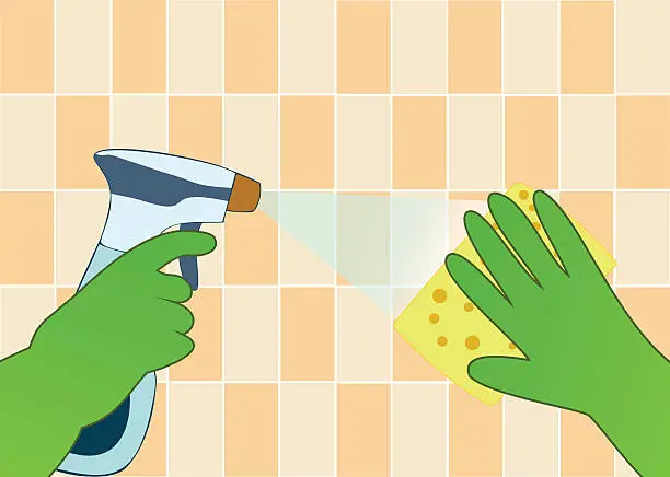 Vector illustration of Hands in green gloves with spray and sponge