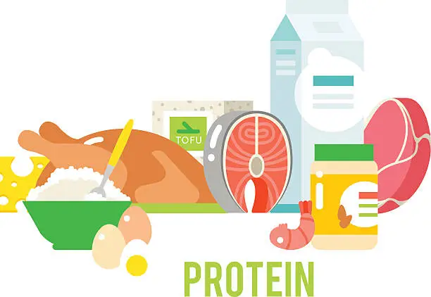 Vector illustration of Proteins food vector illustration.