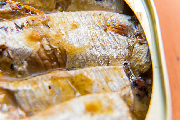 Springwater Sardines in a Tin