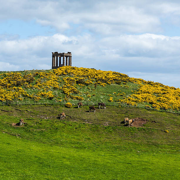 Stonehaven Monument stock photo