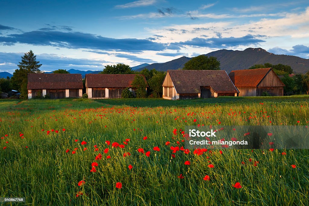 Turiec, Slovakia. Traditional barns in Turiec region, northern Slovakia. Agriculture Stock Photo