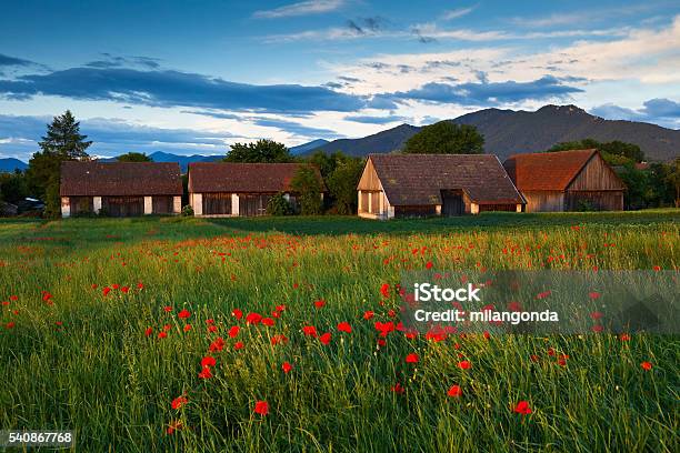 Turiec Slovakia Stock Photo - Download Image Now - Agriculture, Barn, Cultures