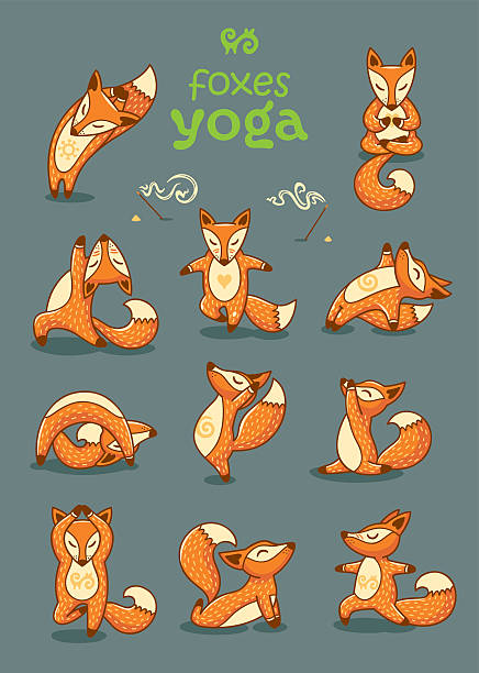 Set of cartoon funny foxes doing yoga position - ilustração de arte vetorial