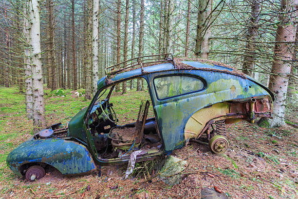 森の中に立っている古い車の難破船 - car old rusty scrap metal ストックフォトと画像