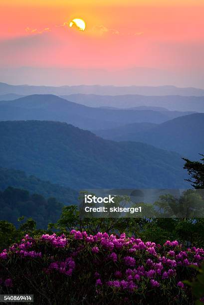 Roan Mountain Sunset Stock Photo - Download Image Now - Tennessee, Mountain, Springtime