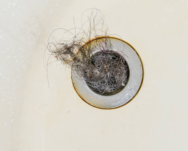 istock Plug hole filled with hair 540870058