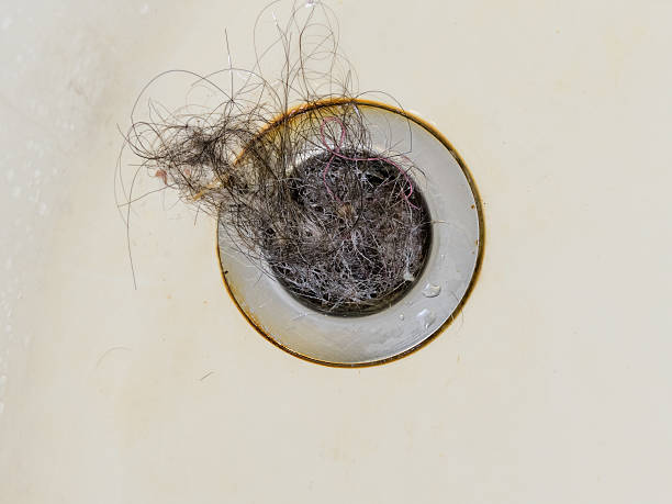 istock Plug hole filled with hair 540870220