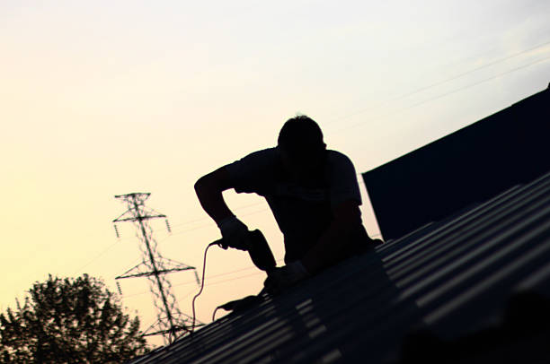istock Home Inspector on the roof 540871748
