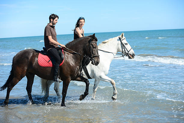 young couple vacation riding horses on beach sunny summer day - horse animals in the wild water beach imagens e fotografias de stock