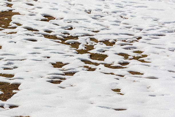 istock close up snow texture thawing snow. 540962558