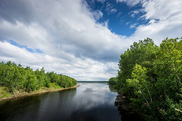 istock Kouchibouguac National Park 540963568