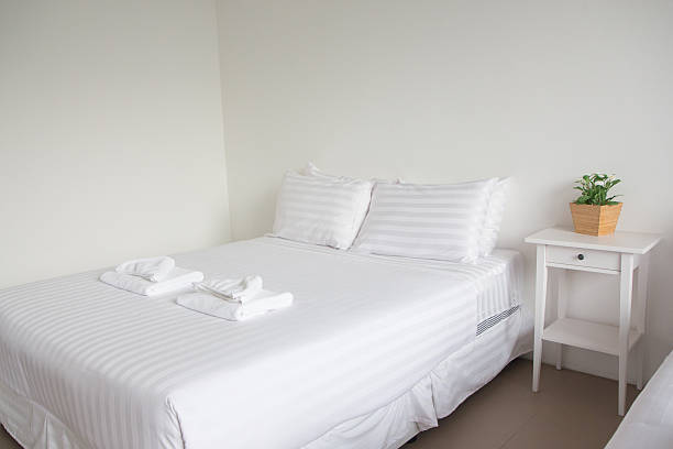 istock white king size bed, two pillows, pot plant in bedroom 540967604