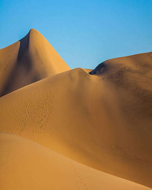 istock Hot and windy morning in the desert 540968794