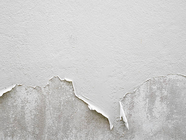 백색 박리 페인트 벽 - paint peeling wall cracked 뉴스 사진 이미지