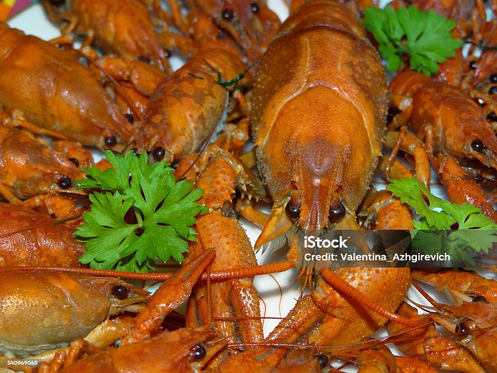 boiled crayfish some boiled crayfish with green parsley closeup Backgrounds Stock Photo