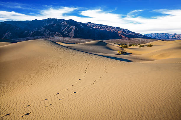 istock Hot autumn in Death Valley 540969186