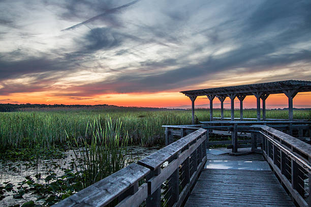 istock Marsh Boardwalk at Point Pelee National Park 540970754