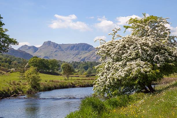istock Elterwater, The Lake District, Cumbria, England 540972210
