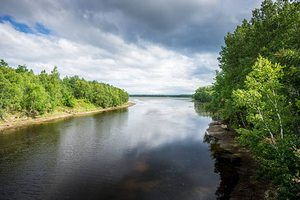 istock Kouchibouguac National Park 540973312