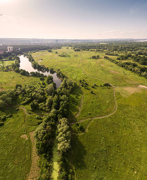 istock Beautiful sunset on the field. Aerial view. 540974798