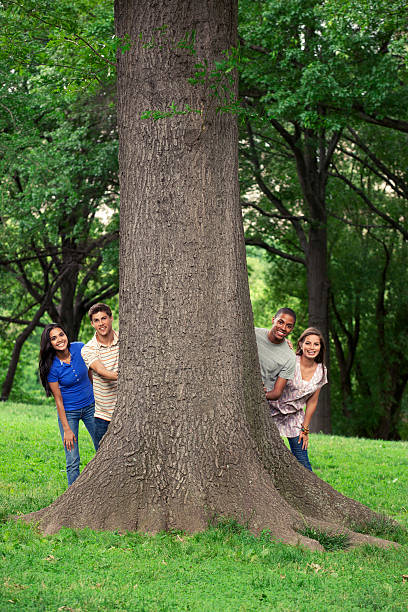istock Teenage friends spending time together at tree 540975028