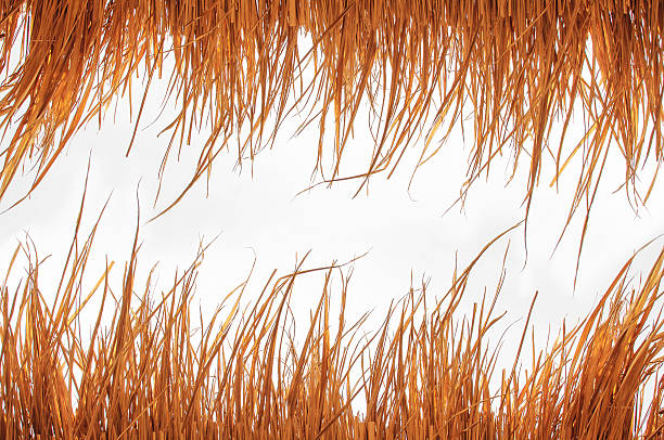 istock Top of yellow hut straw pattern on white background 540976010