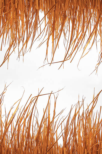 istock Top of yellow hut straw pattern on white background 540976058