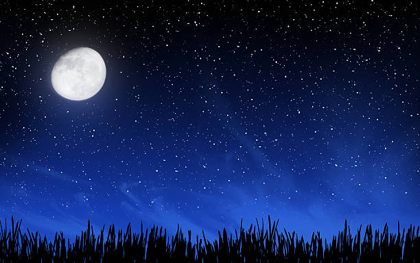 istock Deep night sky with many stars and grass 540980292
