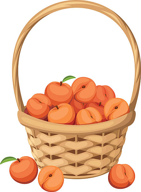 310+ Peach Basket Stock Illustrations, Royalty-Free Vector Graphics ...