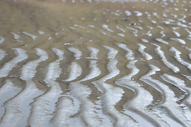 Wet sand ripples stock photo