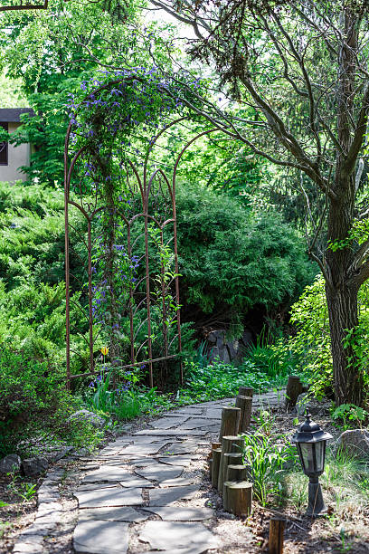 istock Landscape design, evergreen bushes and path 540983788