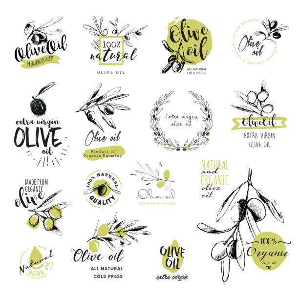 ilustraciones, imágenes clip art, dibujos animados e iconos de stock de conjunto de dibujado a mano acuarela aceite de oliva pegatinas y distintivos - aceite de oliva