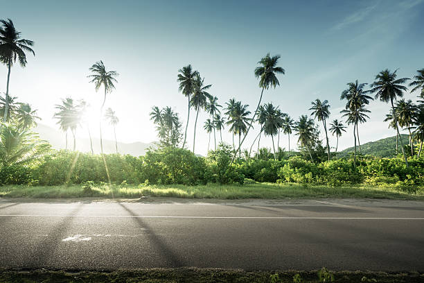 istock empty road in jungle of Seychelles islands 540984128