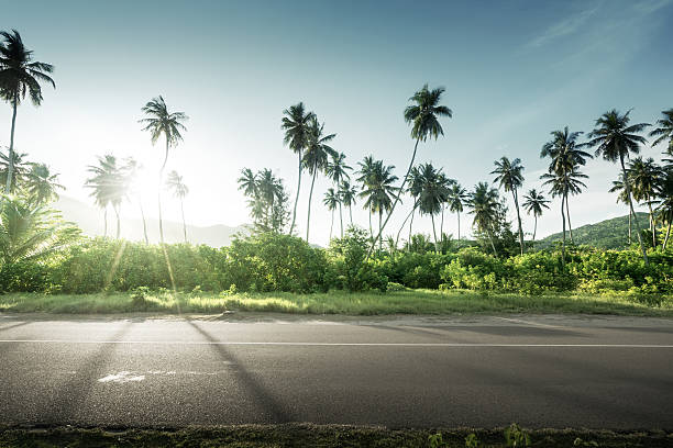 empty road in jungle of Seychelles islands stock photo