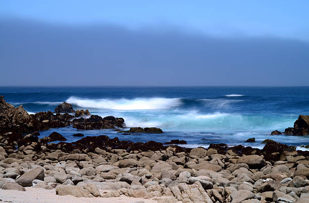 istock Monterey Bay Asilomar State Marine Reserve 540984140