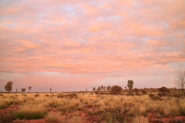 пустыня панорама северных территорий австралии - uluru australia northern territory sunrise стоковые фото и изображения